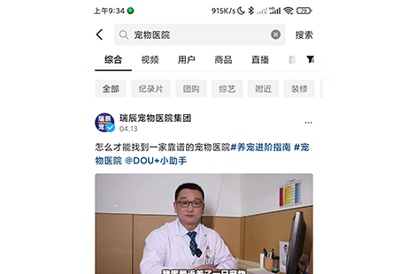 宠物行业