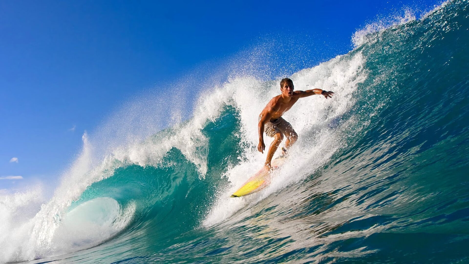 开云·体育官网APP下载-球队的家庭日：幕后温馨瞬间大揭秘，家庭足球队